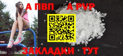 стафф Анжеро-Судженск