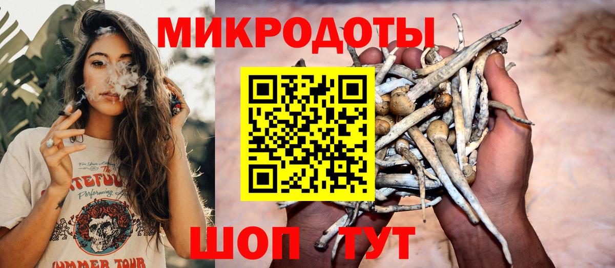 где купить наркотик  Псилоцибиновые грибы мухоморы  Вход с VPN  Сальск  Галлюциногенные грибы мицелий 